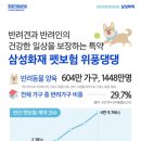 위풍댕댕 이미지