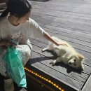 송림닭갈비 | [강원도] 양양 숨은 해변 추천 - 5년째 가는 동해바다 여름휴가 찐 후기