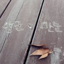 이노배드