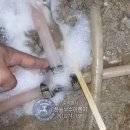 백년대로 323번길 이미지