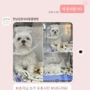 한남심장내과동물병원 이미지