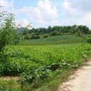 두학농장 이미지