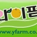 안코비어 이미지