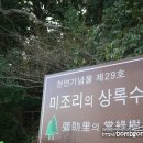 미조유람선 네이버블로그
