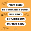 카페 커피 맛이 밍밍하다면? 프랜차이즈 본사도 주목하는 물 관리 솔루션 - 미네랄메이커 정수필터 미네랄커피 이미지