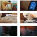 (주)오토일렉스 이미지