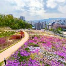 초안산 하늘꽃정원 이미지