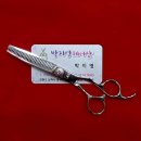 박지영헤어샵 - 경산시 | 박지영헤어샵