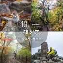 서울시니어스타워(주) 오색그린야드호텔 | 강원도 가을 단풍 설악산 국립공원 오색 코스 풍경 그리고 대청봉