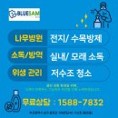 사동초등학교 병설유치원 이미지