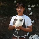 장순농장 이미지