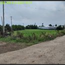 안성리-3 이미지