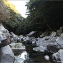 한라산천연보호구역 이미지