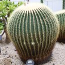 쉼터사슴 이미지