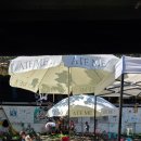 D샾 | 치앙마이 한 달살기 D+11