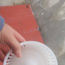 디테일러명제주