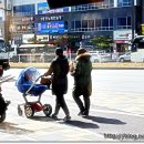 명랑핫도그동탄