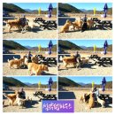 펍하우스