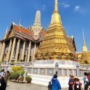 광주서울하정의원 이미지