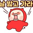 분당-243 이미지