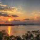 통영터널로가로수 이미지