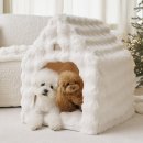 몽글몽글 펫 이미지