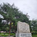 삶, 숨, 쉼터, 나무 이야기164 이미지