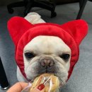 레오네식탁 이미지