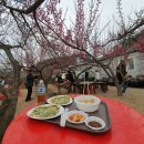 꼬꼬맘춘천숯불 닭갈비