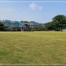 운동장 - 포항시 남구 새천년대로434번길 9 | 운동장