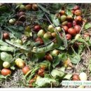 도진농장 이미지