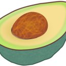 오티콘보청기 달서점 이미지