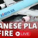 CNN 이미지