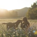 중앙시장동물약국 이미지