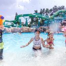 스플라스리솜 이미지