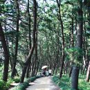 바다전망대 sky- 이미지