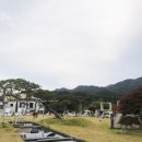 (주)희원에스에이치 | 담양 애견동반 카페 파인드업 카페 다녀왔어요