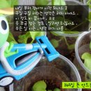 식탁위의텃밭 이미지