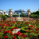 잘츠부르크 이미지