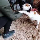 견생공감 이미지