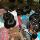 서평초등학교병설유치원 이미지