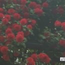 신명 공인중개사사무소 이미지