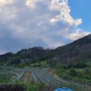 낙원농장4 이미지