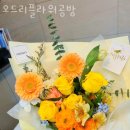 오드리플라워 이미지