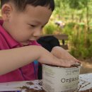 친환경 화분 만들기 이미지