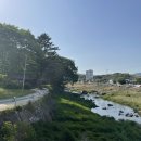 인월동물병원 이미지