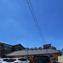 청화대 | 청화대흑염소 후기