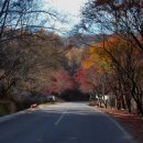 산유리보건진료소 이미지