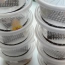 와우펫앤쥬진주점 | 진주에서 특별한 만남, 와우펫앤쥬 진주점 방문기 🐾