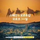 살롱드레이(Salon de Ray) | 스페인 여행 중 방문한 세비야 알카사르 예약 및 입장료 꿀팁